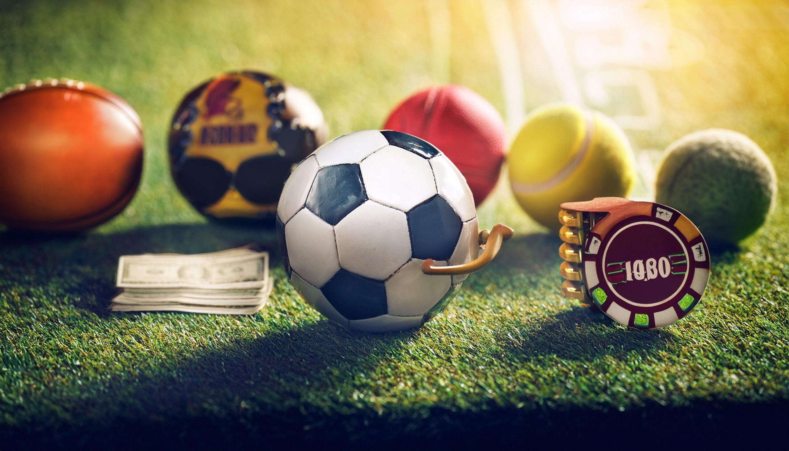 ReddyBook India | Online Sports Betting & Casino Entertainment